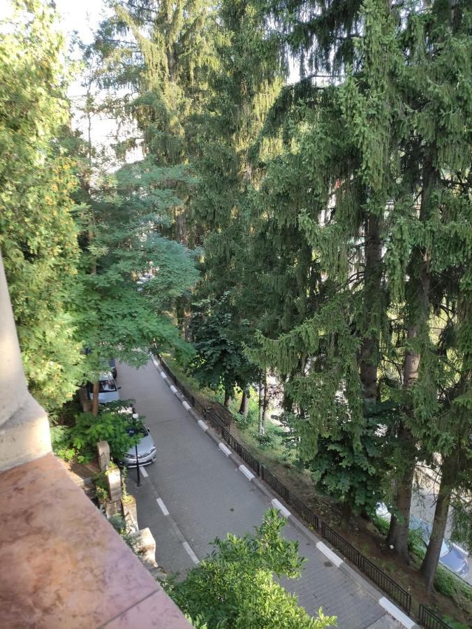 Villa Casa Rosa Băile Olăneşti Esterno foto
