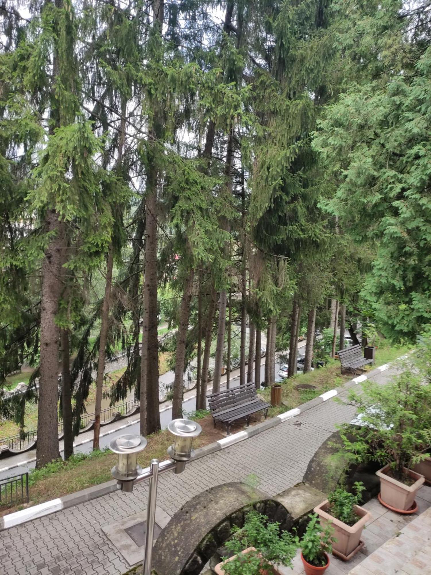Villa Casa Rosa Băile Olăneşti Esterno foto
